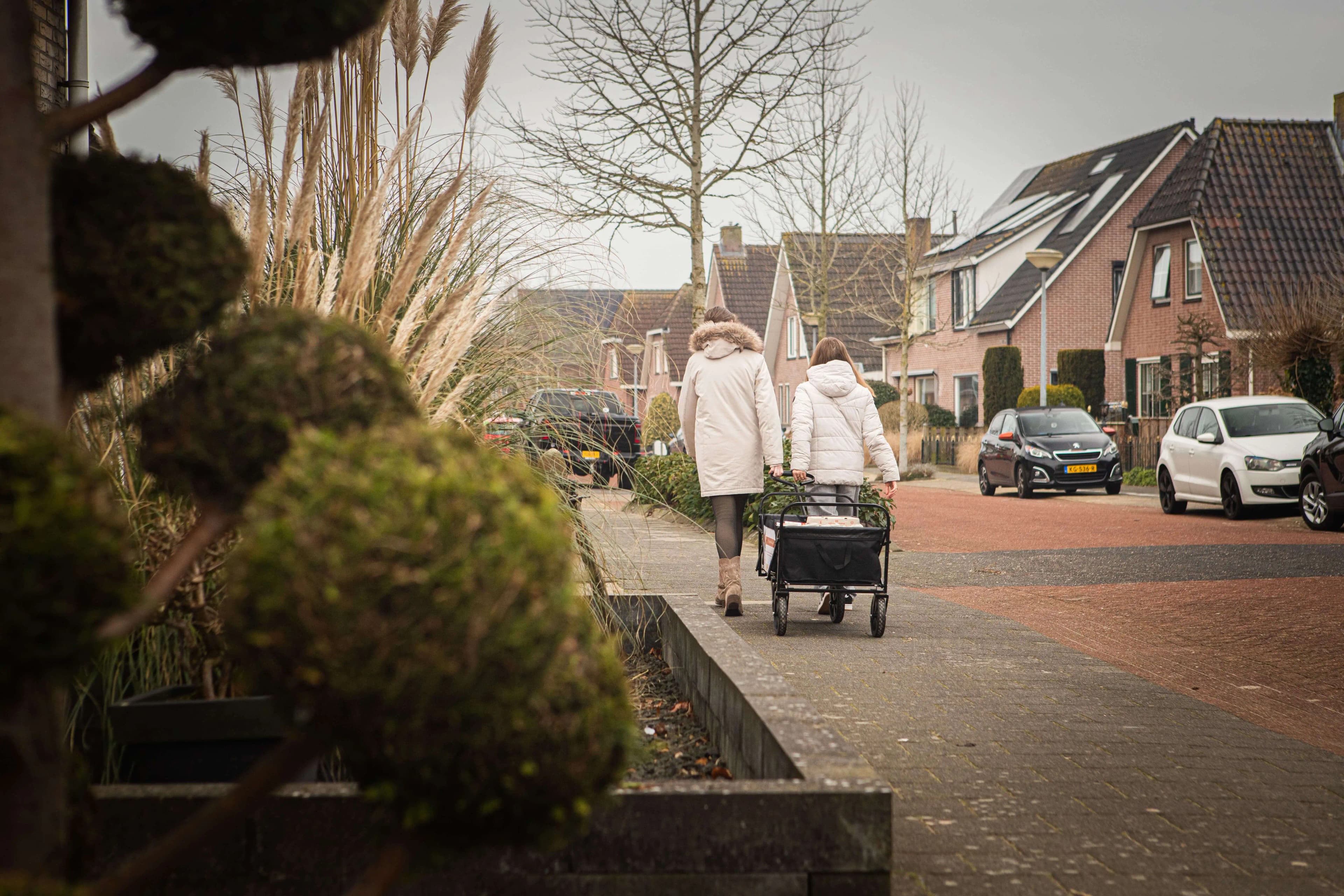 Kippen in het kippenhok